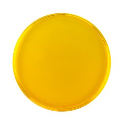 Hybenkerneolie - kologisk - 30 ml. 